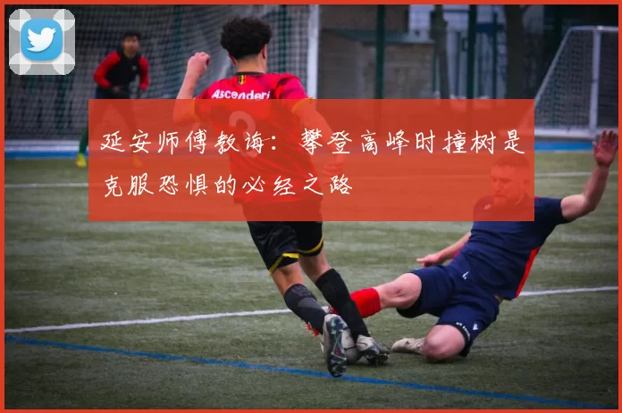 延安师傅教诲：攀登高峰时撞树是克服恐惧的必经之路